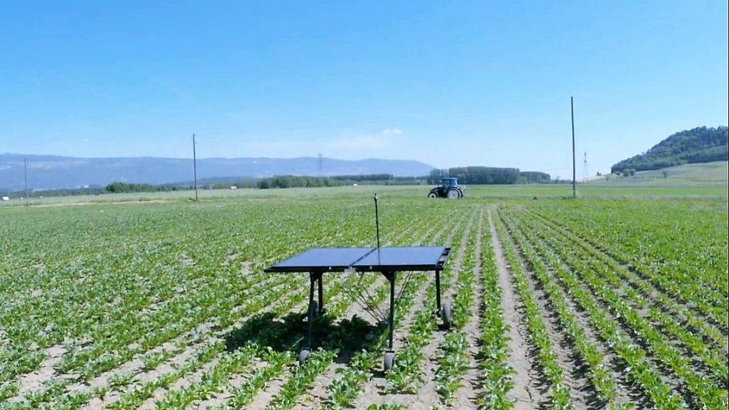 ecoRobotix|Caffini Grasskiller twin